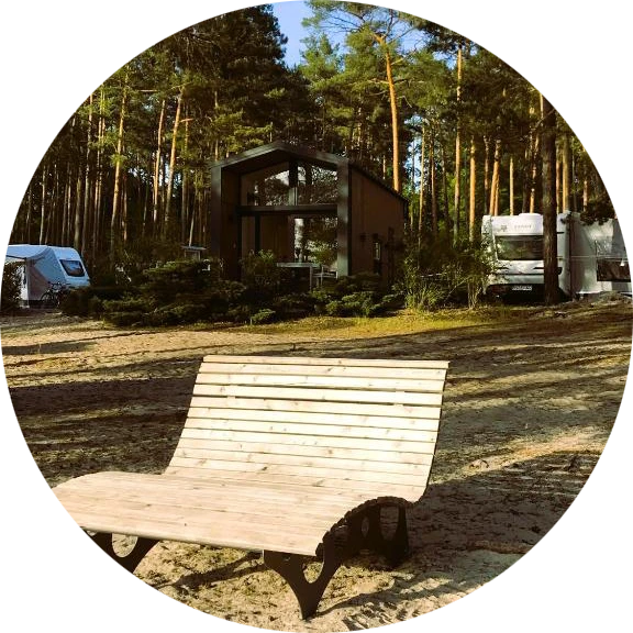 Campingplatz mit Kiefernwald und Bank auf dem Sandstrand im Vordergrund