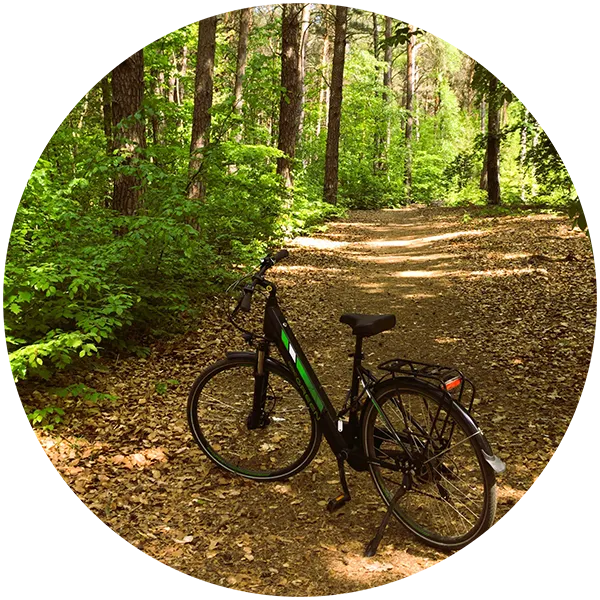 Waldweg mit Fahrrad auf dem Weg