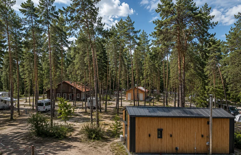 Campingplatz im Kiefernwald mit Wohnmobilen, Tiny Häusern und naturbelassenen Stellplätzen.
